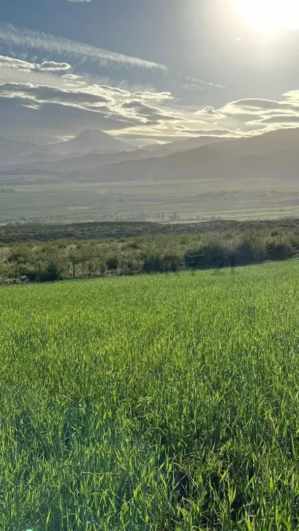 Century 21 López vende 3 propiedades en El Durazno, La Carrera, Tupungato, Valle de Uco 4