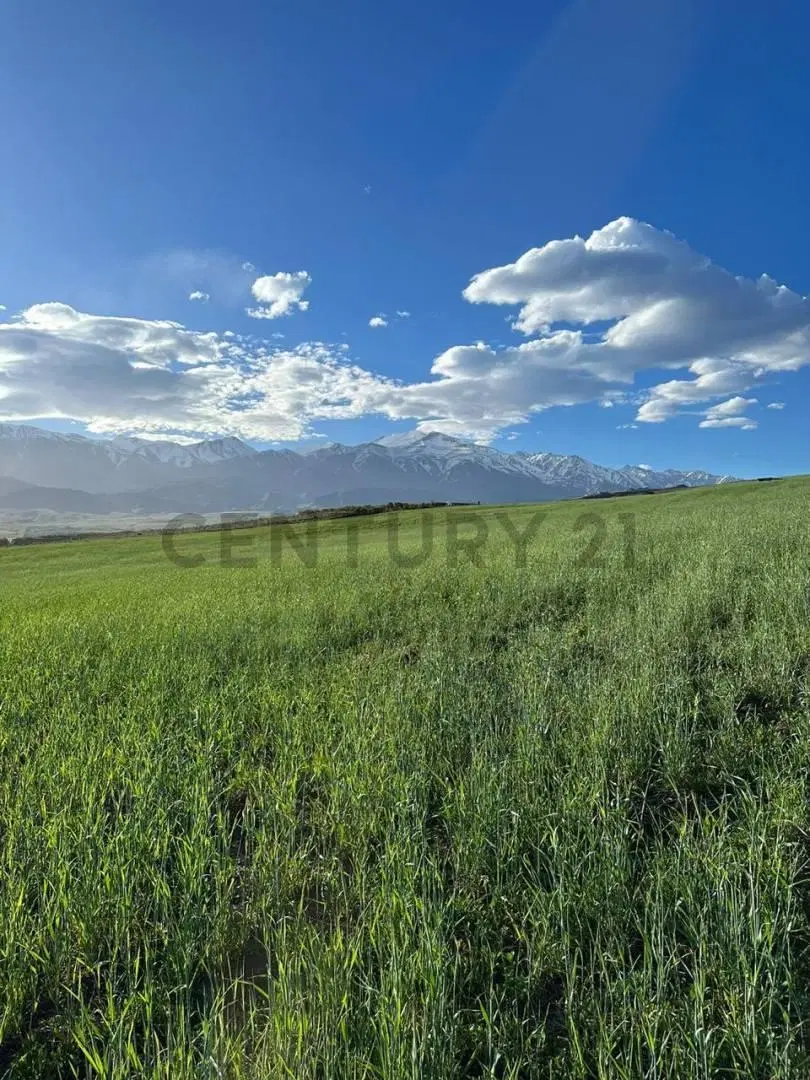 Century 21 López vende 3 propiedades en El Durazno, La Carrera, Tupungato, Valle de Uco 3