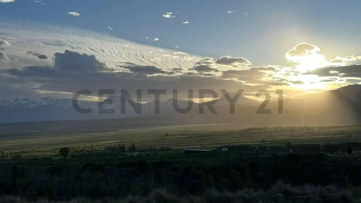 Century 21 López vende 3 propiedades en El Durazno, La Carrera, Tupungato, Valle de Uco 2