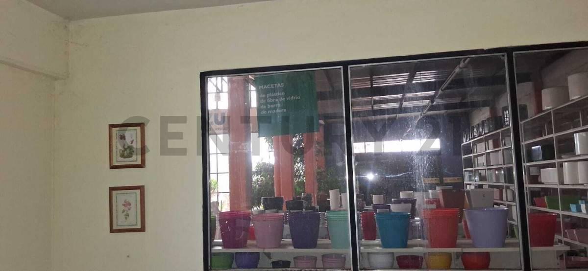 Foto de VENTA DE EXCELENTE TERRENO CON INFRAESTRUCTURA PARA INVERSIONISTAS, imagen 5