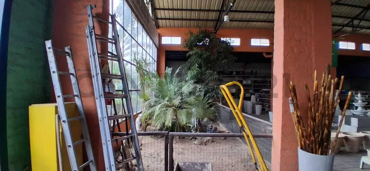VENTA DE EXCELENTE TERRENO PARA INVERSIONISTAS 5