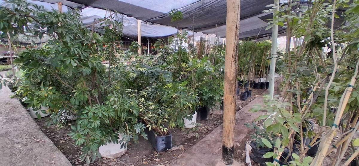 Foto de VENTA DE EXCELENTE TERRENO CON INFRAESTRUCTURA PARA INVERSIONISTAS, imagen 1