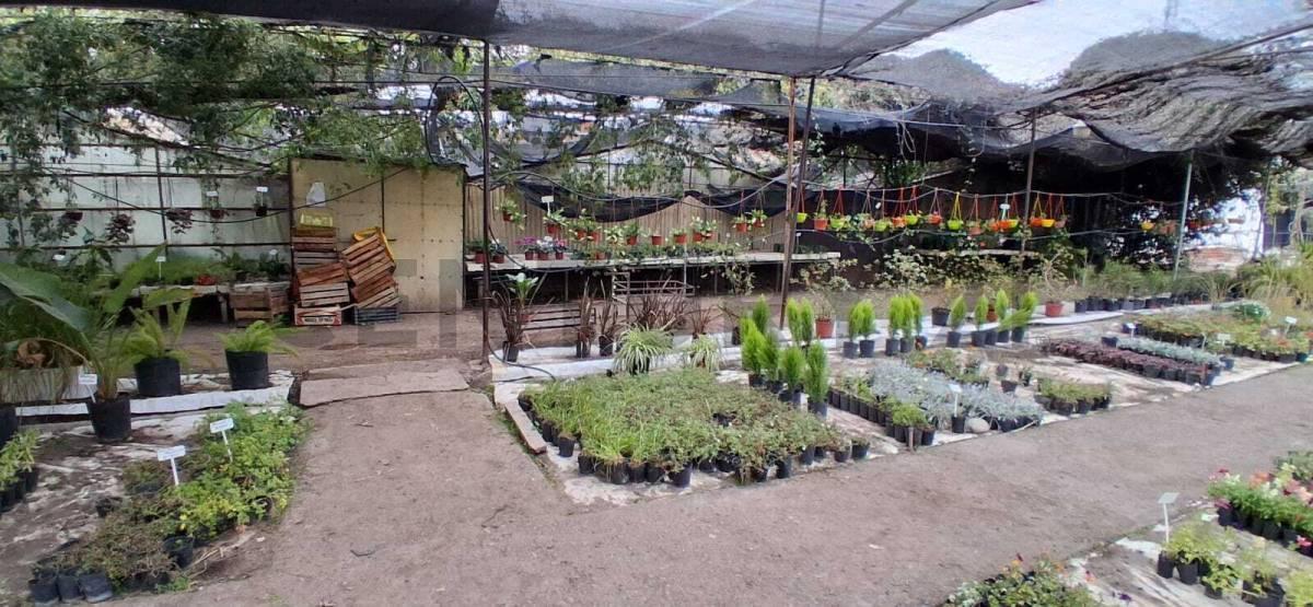 Foto de VENTA DE EXCELENTE TERRENO CON INFRAESTRUCTURA PARA INVERSIONISTAS, imagen 2