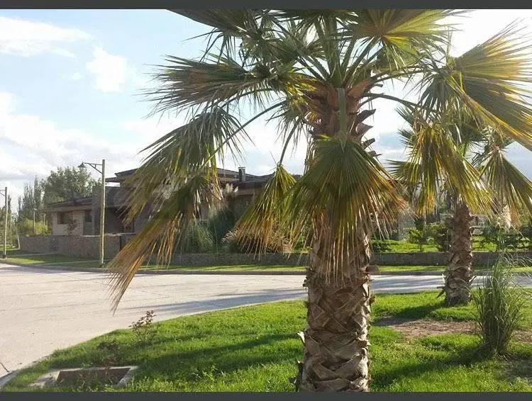 Venta Lote Barrio Nautilius 3