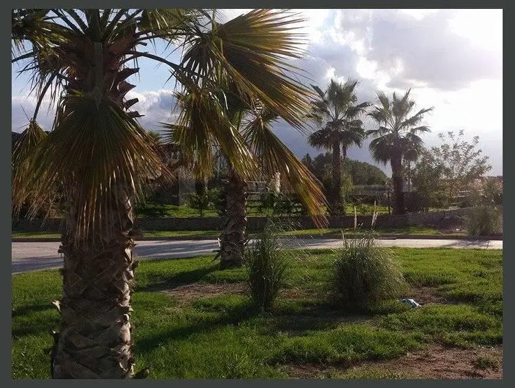 Venta Lote Barrio Nautilius 1