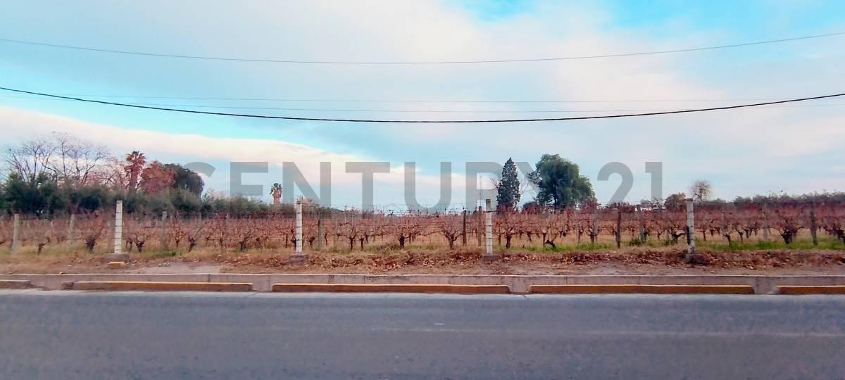 Foto de Century 21 López vende departamento en pozo en Guaymallén, imagen 1