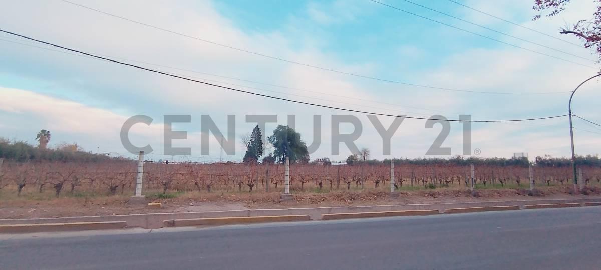 Foto de Century 21 López vende departamento en pozo en Guaymallén, imagen 4
