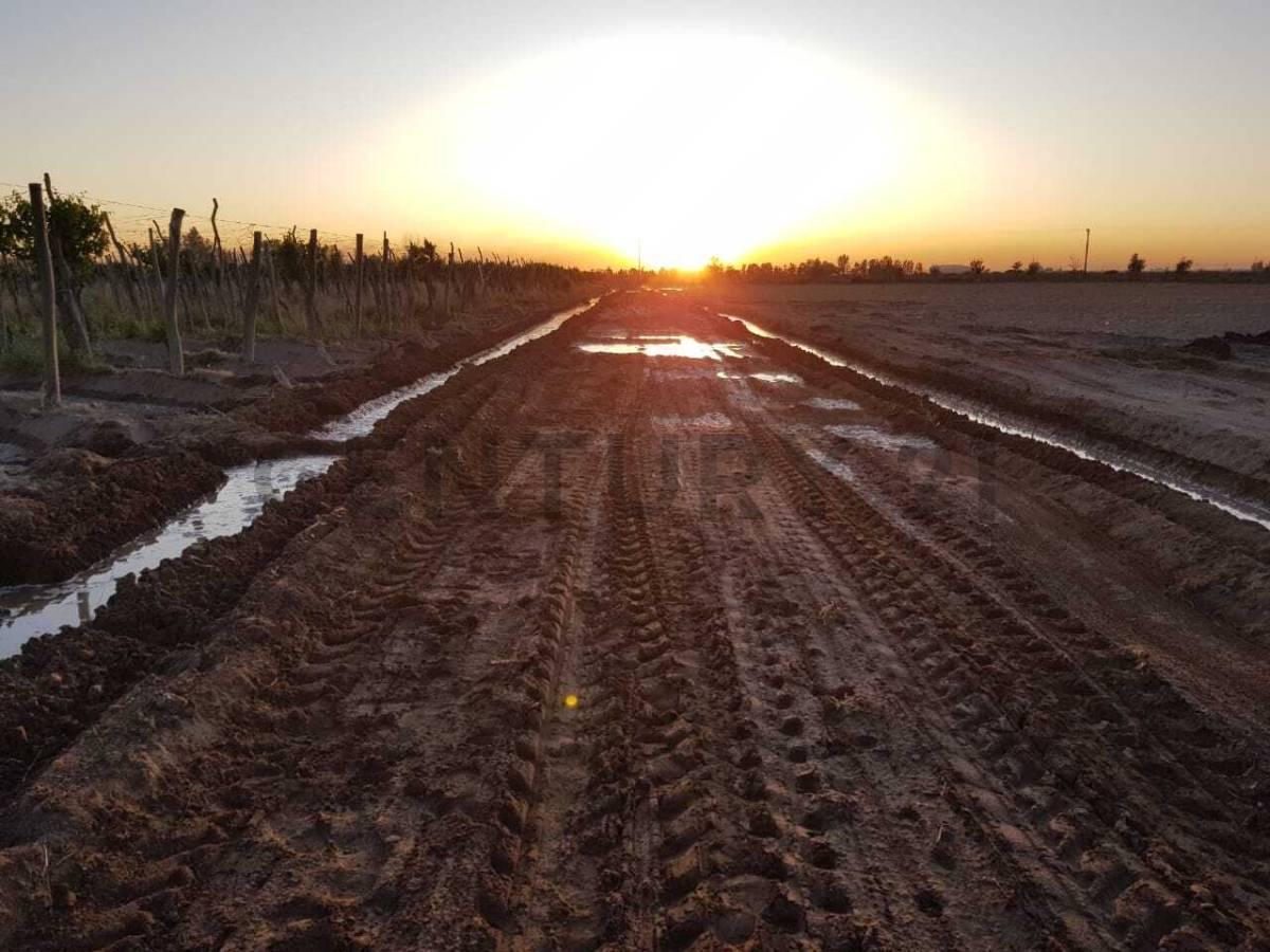 Foto de Century 21 López ofrece a la venta finca productiva de 24 hectáreas en, imagen 4