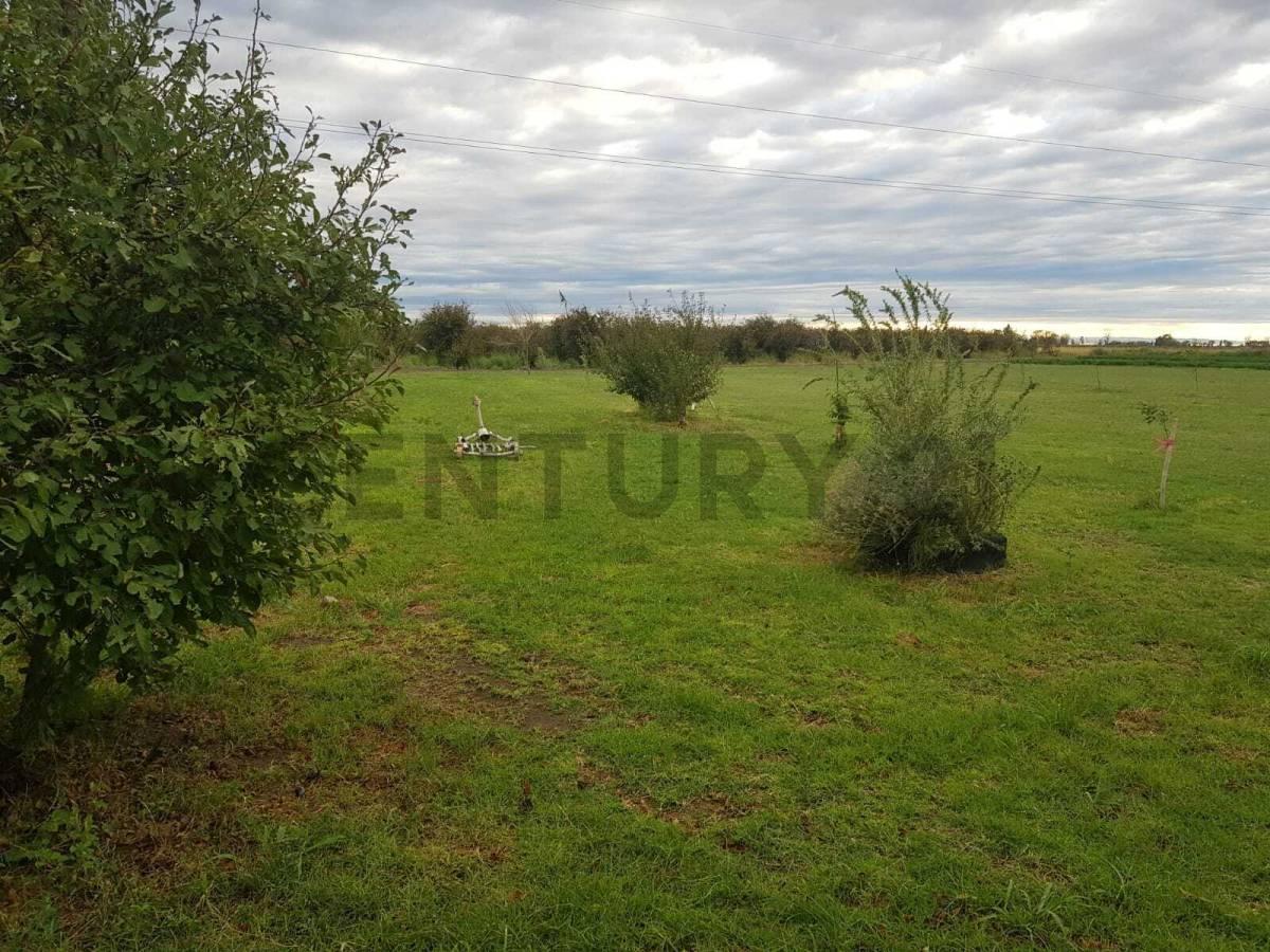 Foto de Century 21 López ofrece a la venta finca productiva de 24 hectáreas en, imagen 5
