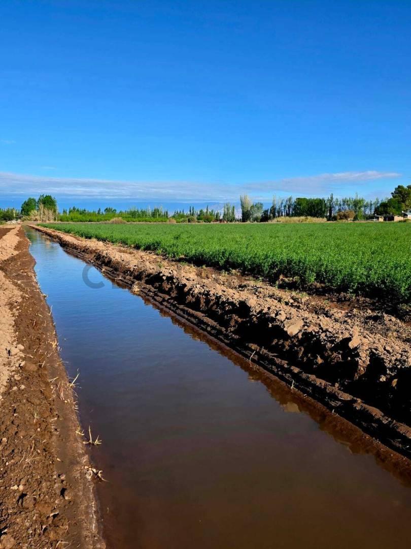 Foto de VENTA DE FINCA EN LA VALLE, imagen 4