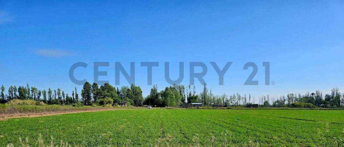 Foto de VENTA DE FINCA EN LA VALLE, imagen 2