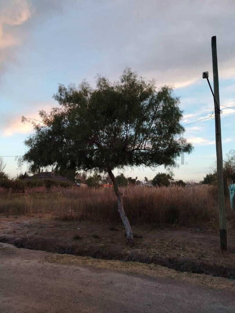 Foto de LOTE EN VENTA, BARRIO LAS ROSAS 5, LOS CORRALITOS, imagen 5
