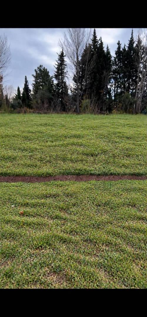Foto de Lote de 1.000 m² en Vistalba, Luján de Cuyo, imagen 1
