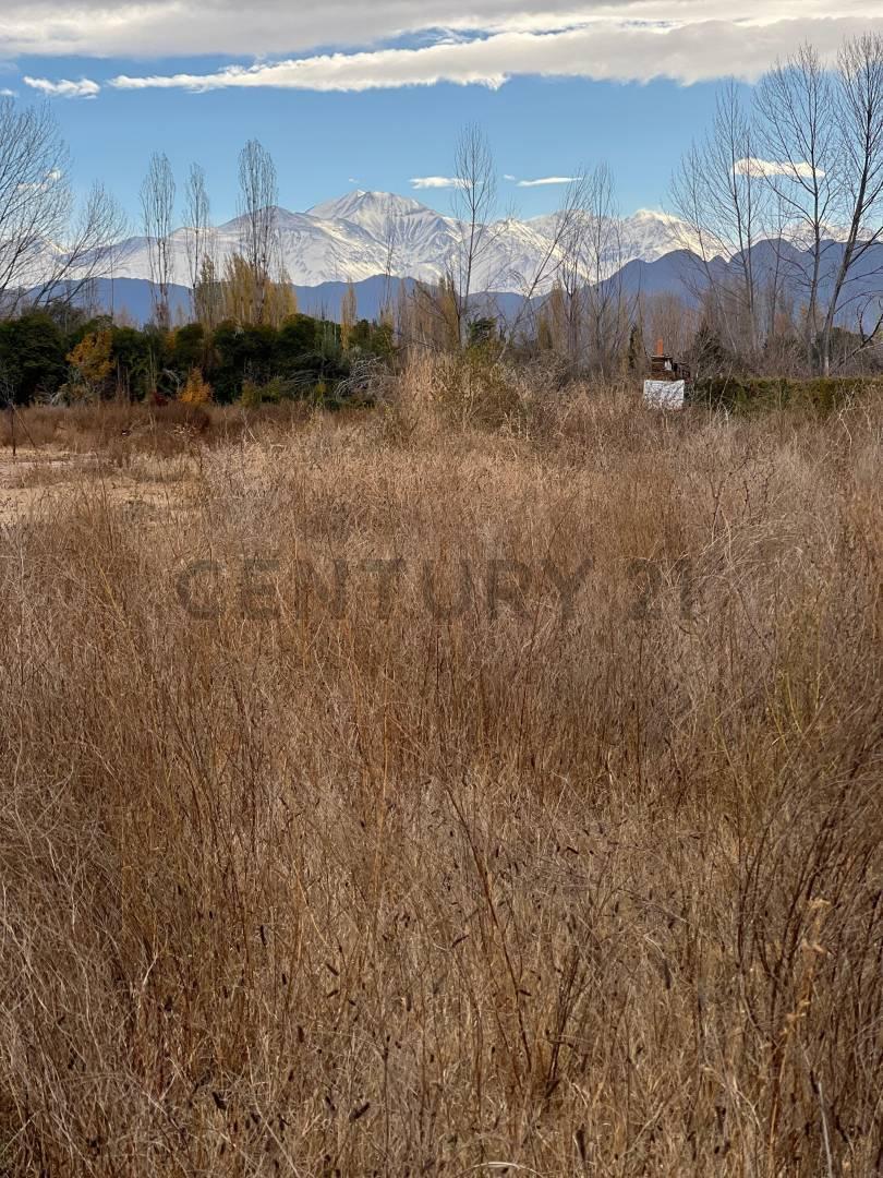Foto de Lote de 1.000 m² en Vistalba, Luján de Cuyo, imagen 2