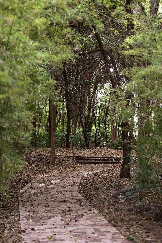 Foto de LOTE EN BARRIO EL BOSQUE – MAIPU, imagen 5