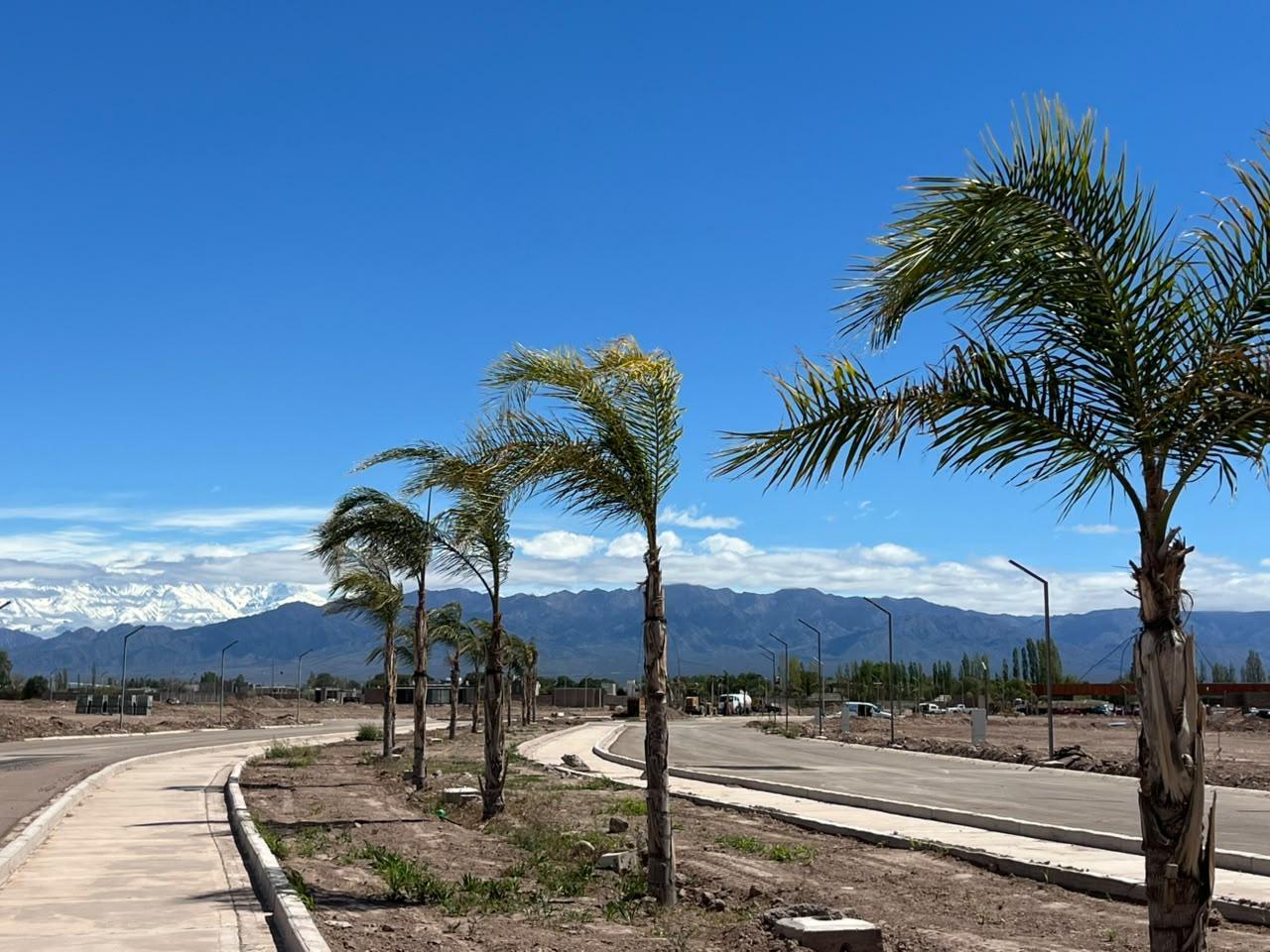 Foto de LOTE EN VENTA EN BARRIO PRIVADO LAS PALMAS, MAIPÚ, imagen 2