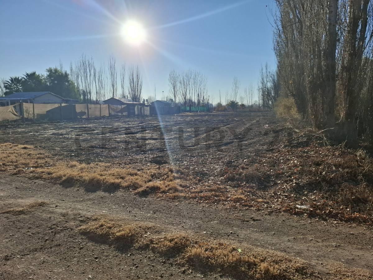 Foto de Terreno en Venta Guaymallen Mendoza, imagen 3