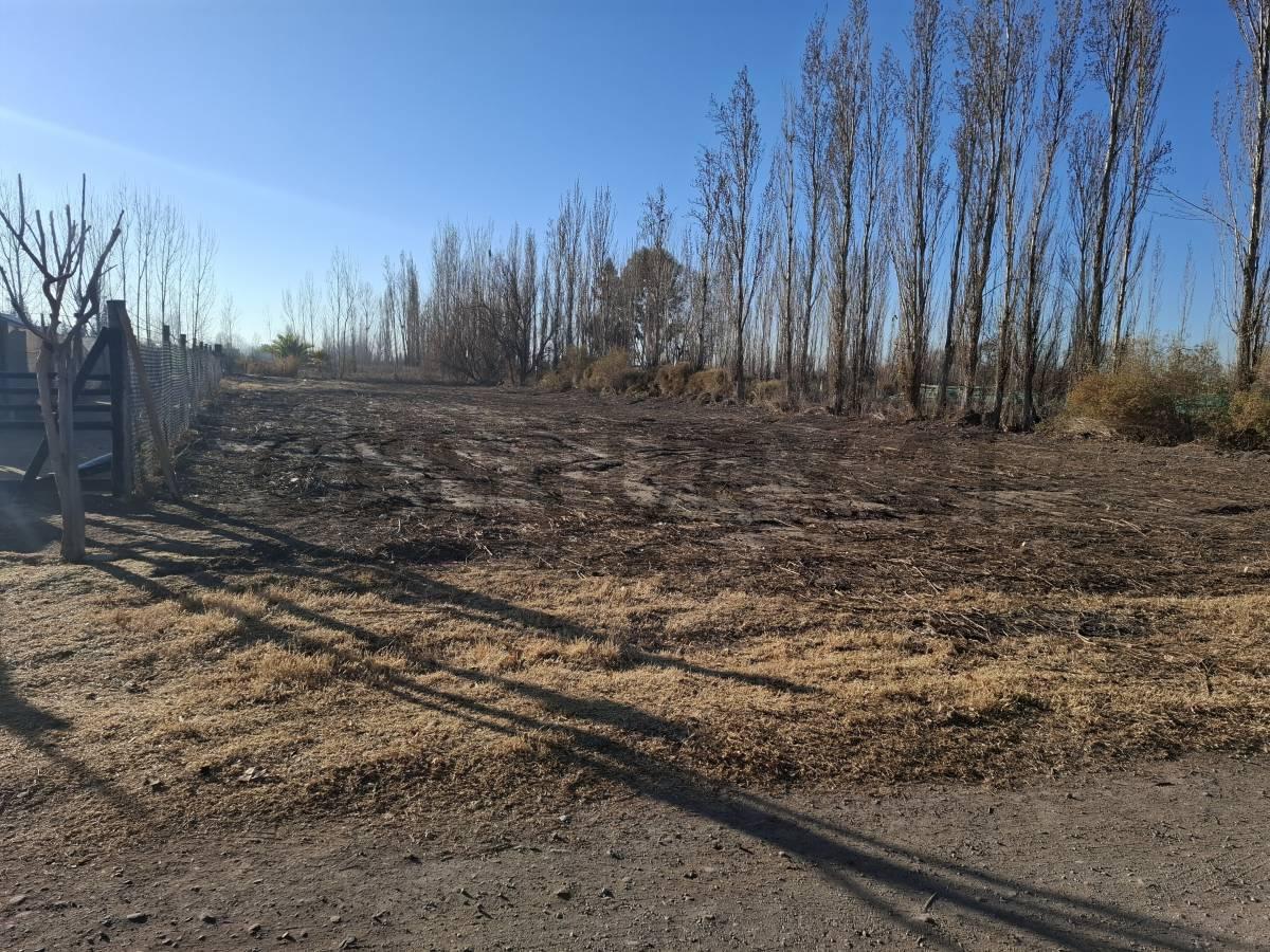 Foto de Terreno en Venta Guaymallen Mendoza, imagen 5