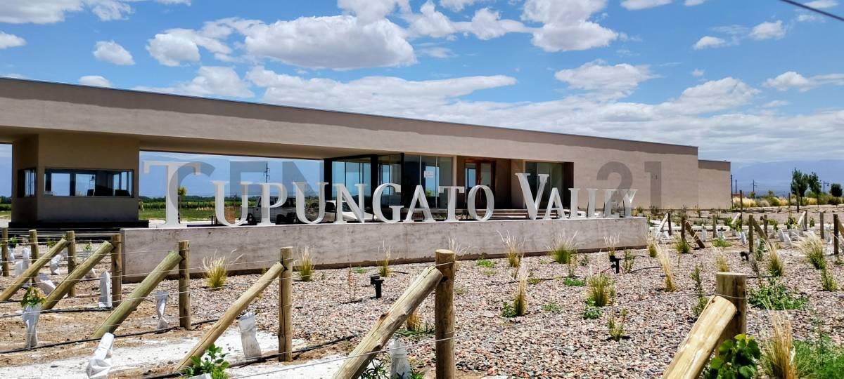 Foto de Century 21 López vende Lote en Tupungato Valley, imagen 2