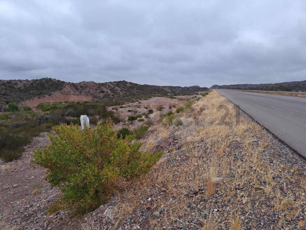 Foto de TERRENO EN VARIANTE PALMIRA RUTA NACIONAL 7,( LUJAN DE CUYO, MENDOZA)., imagen 1