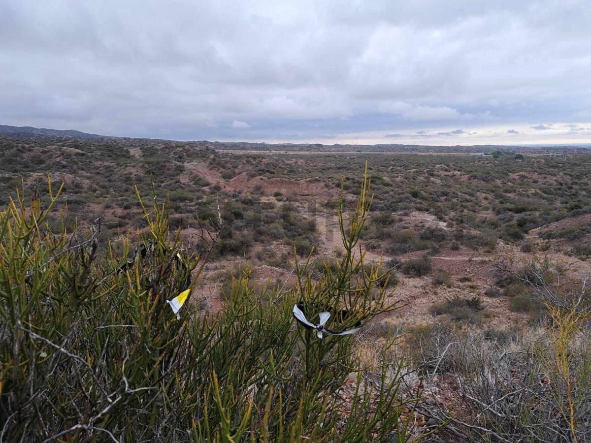 Foto de TERRENO EN VARIANTE PALMIRA RUTA NACIONAL 7,( LUJAN DE CUYO, MENDOZA)., imagen 2