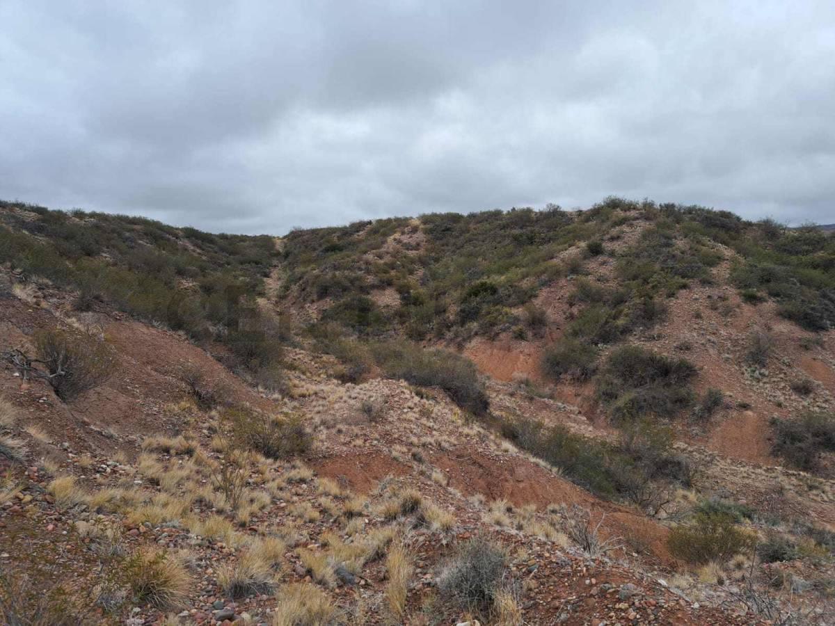 Foto de TERRENO EN VARIANTE PALMIRA RUTA NACIONAL 7,( LUJAN DE CUYO, MENDOZA)., imagen 3