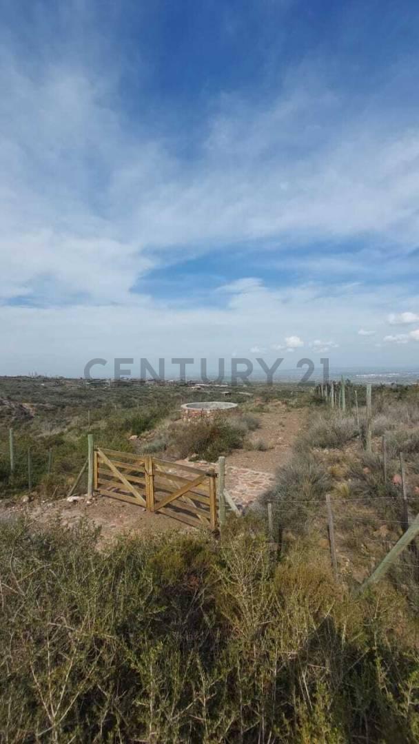Foto de Venta Lote en La Crucecita Lujan de Cuyo, imagen 4