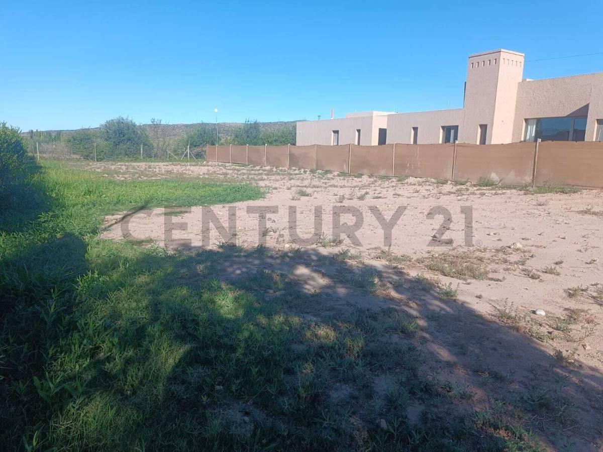 Foto de TERRENO/LOTE EN VENTA EN B° SUELOS DE OLAVARRIA – PERDRIEL - LUJAN, imagen 4