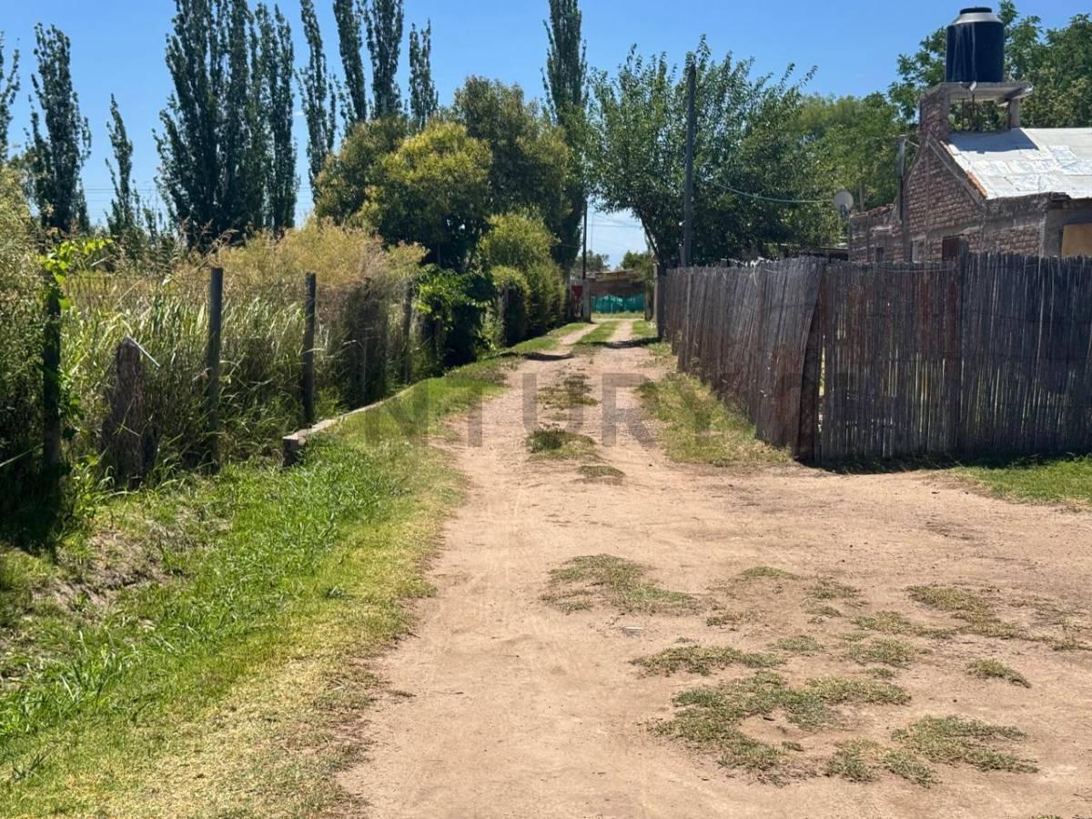 Foto de quincho en venta-San Martin- Mendoza, imagen 1