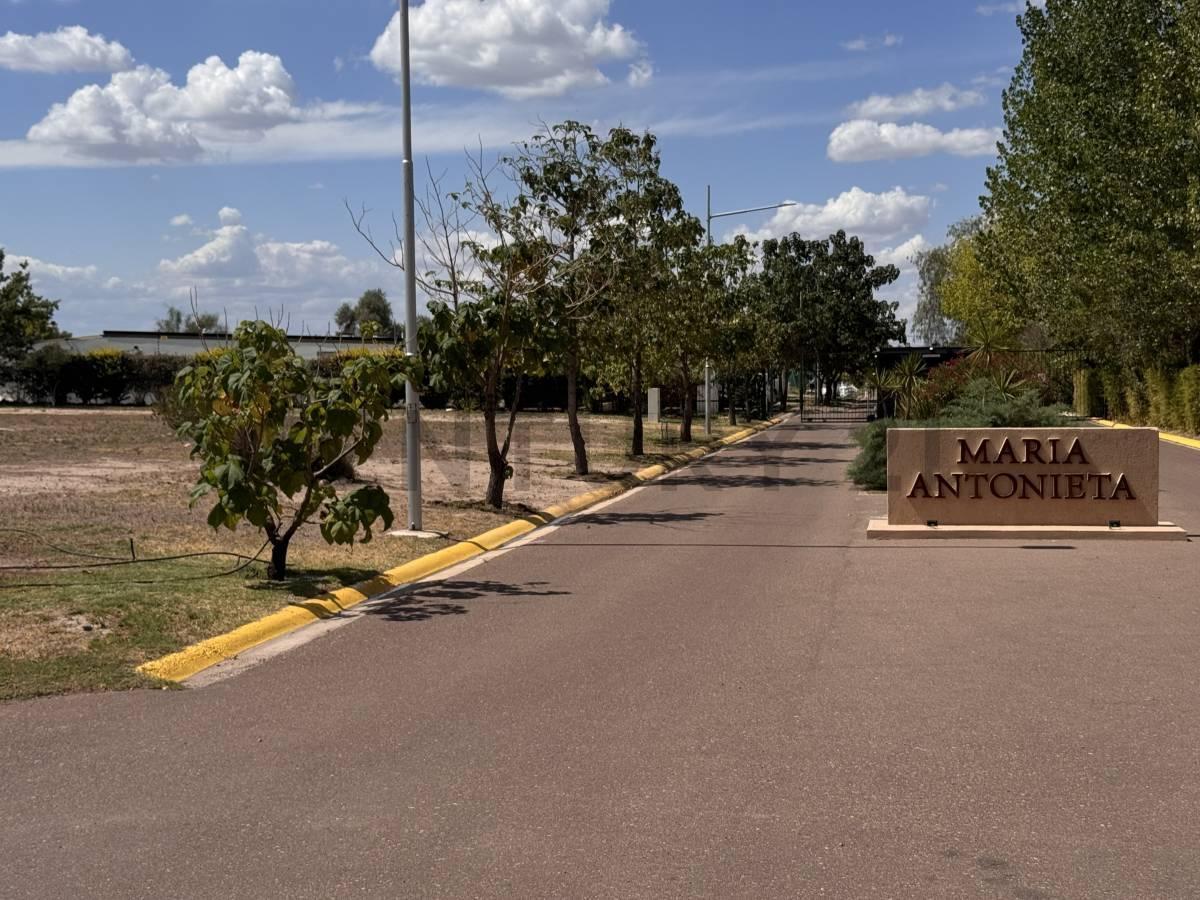 Foto de TERRENO EN VENTA MAYOR DRUMOND- LUJAN DE CUYO, imagen 1