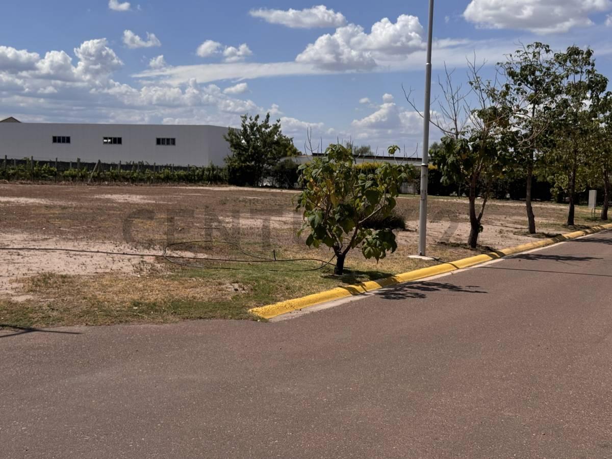 Foto de TERRENO EN VENTA MAYOR DRUMOND- LUJAN DE CUYO, imagen 2