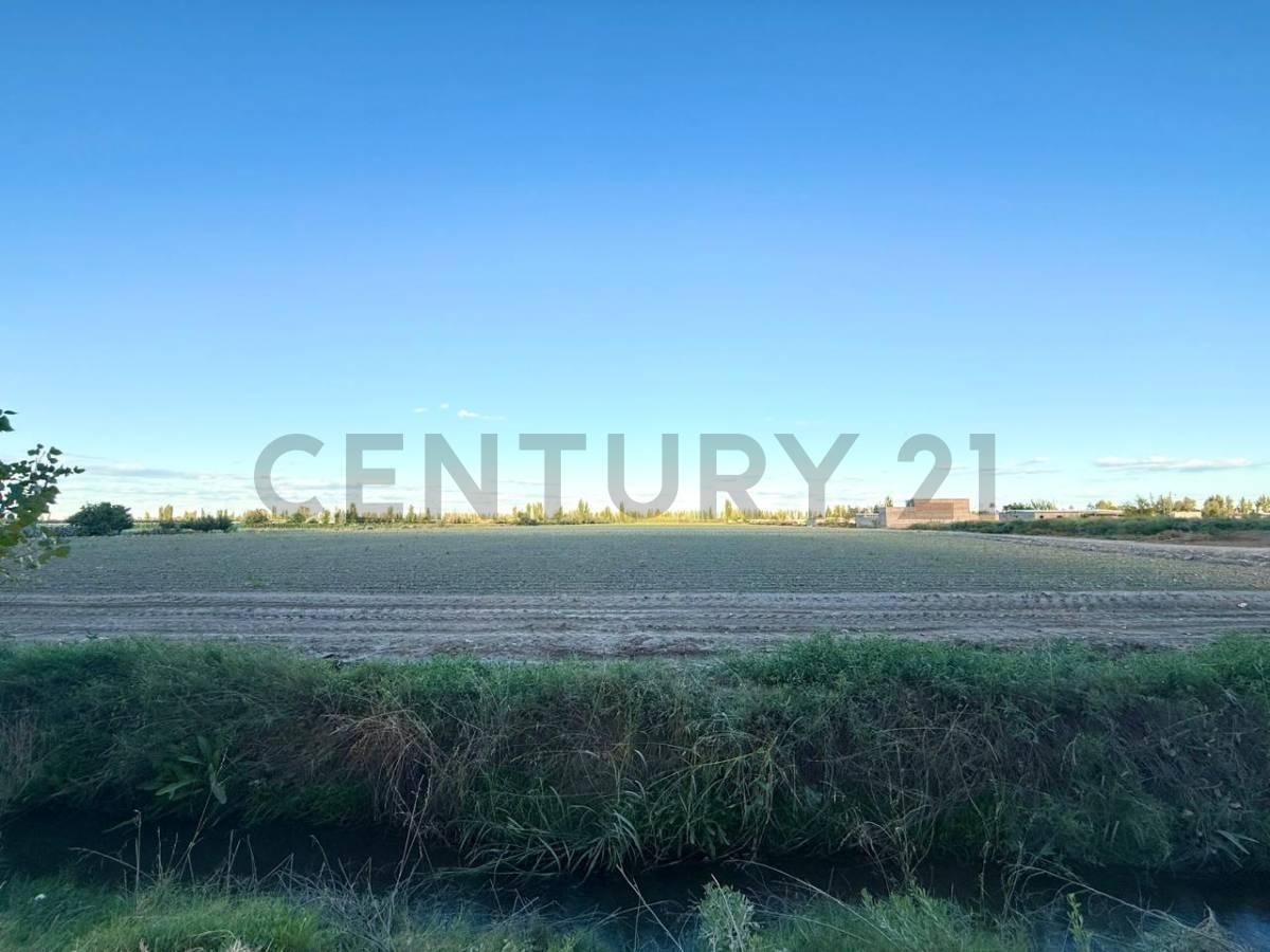 Foto de Century21 López ofrece a la venta Finca en Rodeo del Medio, Maipú., imagen 5