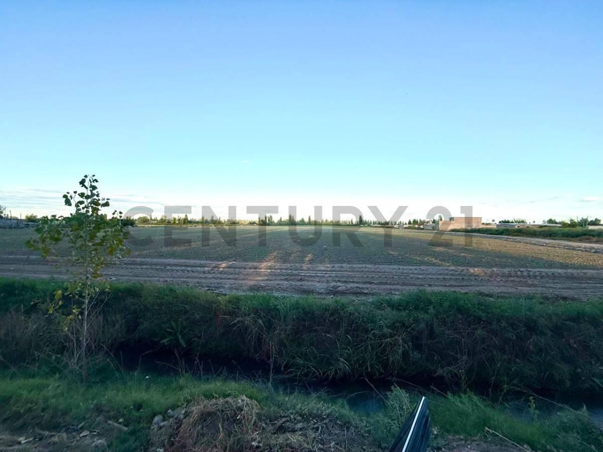 Foto de Century21 López ofrece a la venta Finca en Rodeo del Medio, Maipú., imagen 2