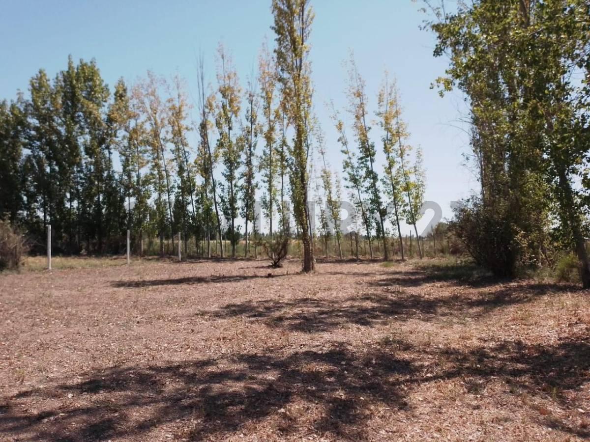 Foto de Terreno en venta en Maipú, imagen 5