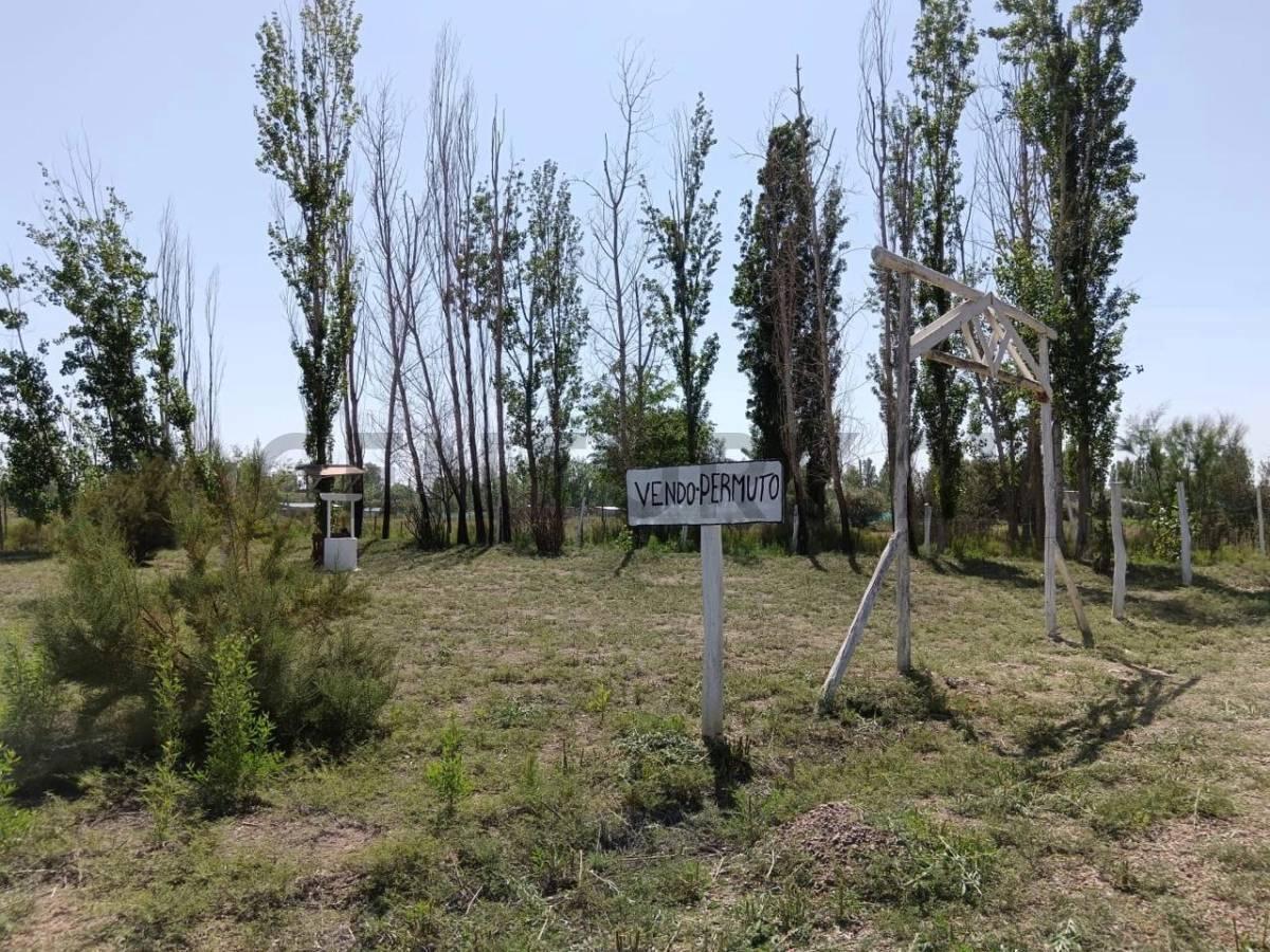 Foto de Terreno en venta en Maipú, imagen 3