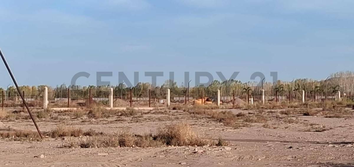 Foto de LOTE EN BARRIO LAS PALMAS DE MAIPU - 1° ETAPA, imagen 2