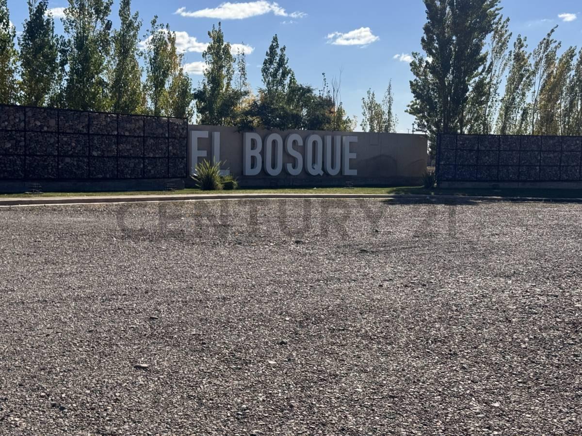 Foto de TERRENOS EN VENTA BARRIO PRIVADO EL BOSQUE – RODEO DEL MEDIO, imagen 1