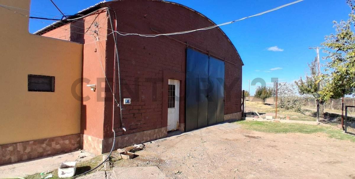 Foto de FINCA DE 31 HA CON CAÑON Y MALLA ANTIGRANIZO EN SAN MARTIN, MENDOZA, imagen 5