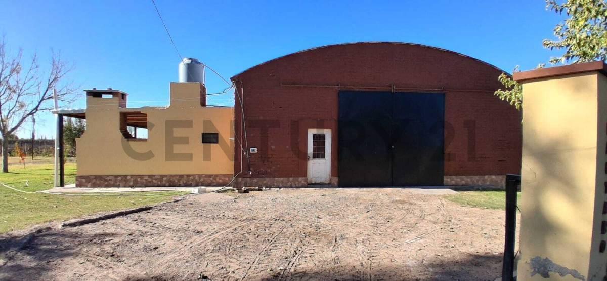 Foto de FINCA DE 31 HA CON CAÑON Y MALLA ANTIGRANIZO EN SAN MARTIN, MENDOZA, imagen 1