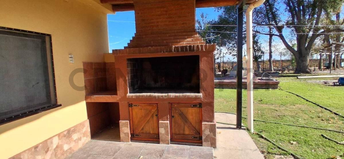 Foto de FINCA DE 31 HA CON CAÑON Y MALLA ANTIGRANIZO EN SAN MARTIN, MENDOZA, imagen 3