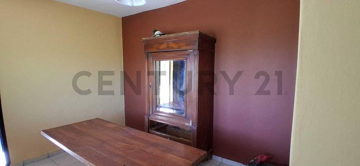 Foto de FINCA DE 31 HA CON CAÑON Y MALLA ANTIGRANIZO EN SAN MARTIN, MENDOZA, imagen 4