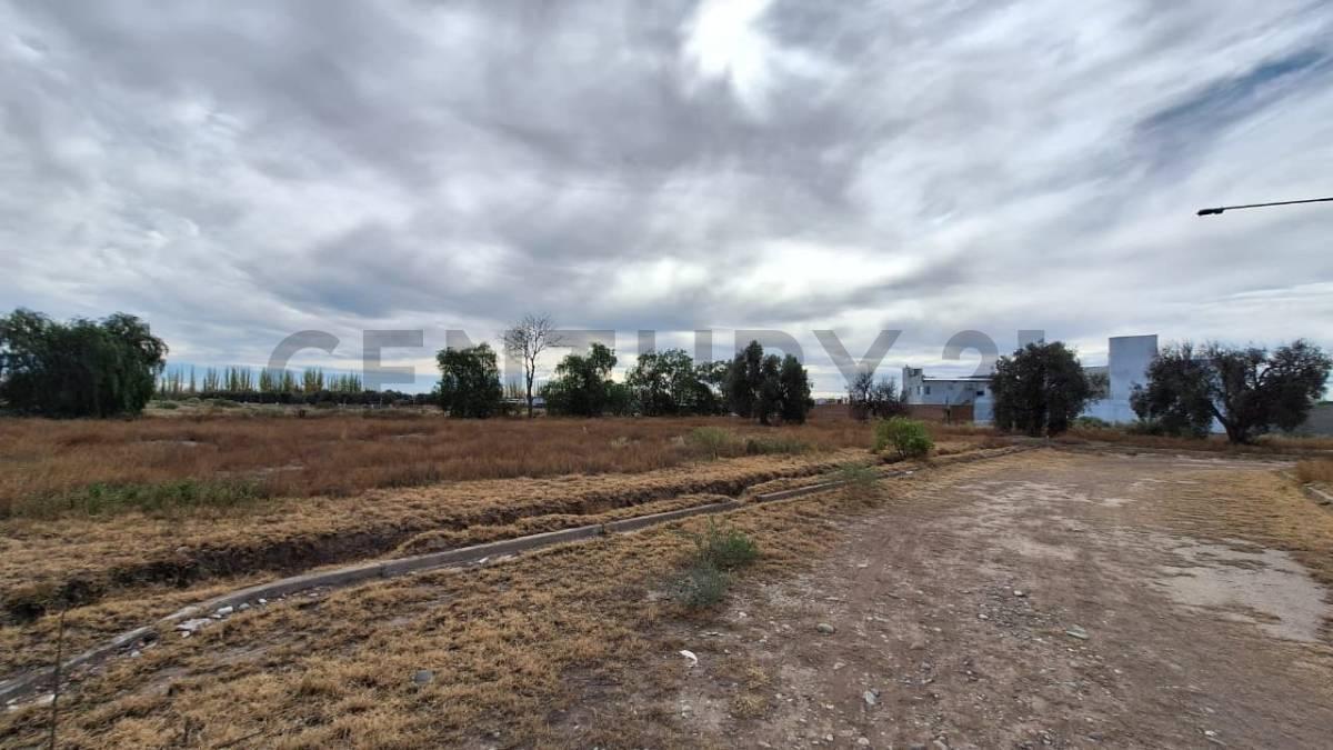 Foto de LOTE EN VENTA EN BARRIO NUEVA VIÑUELA SAN RAFAEL, imagen 5