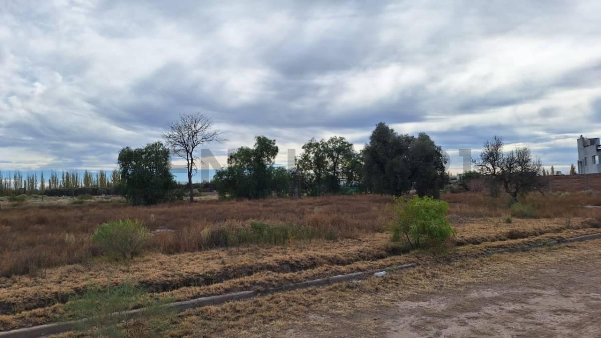 Foto de LOTE EN VENTA EN BARRIO NUEVA VIÑUELA SAN RAFAEL, imagen 4