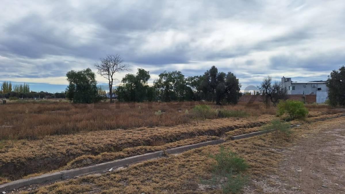 Foto de LOTE EN VENTA EN BARRIO NUEVA VIÑUELA SAN RAFAEL, imagen 3
