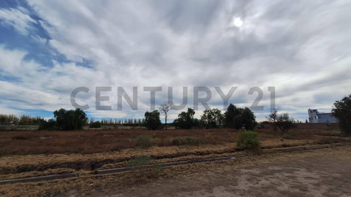 Foto de LOTE EN VENTA EN BARRIO NUEVA VIÑUELA SAN RAFAEL, imagen 2