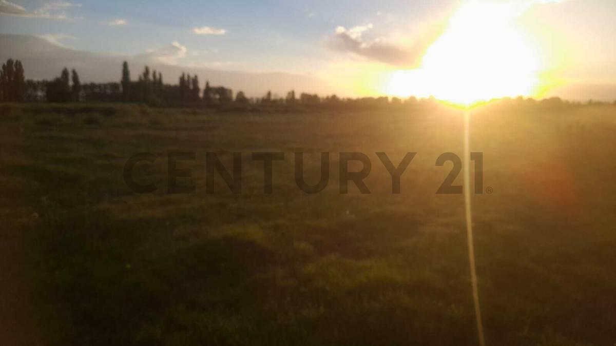 Foto de LOTE EN VENTA EN CALLE CORNELIO SAAVEDRA - GOUDGE - SAN RAFAEL, imagen 3