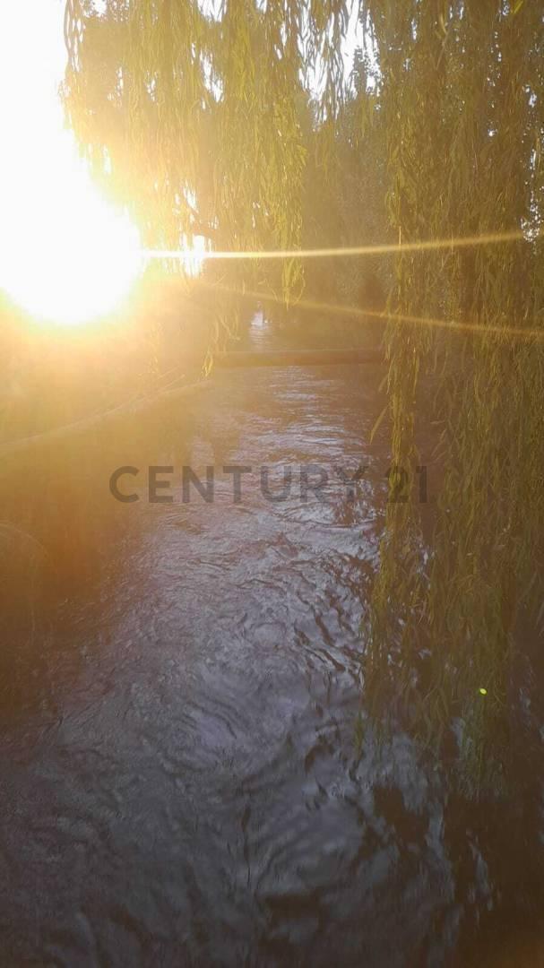 Foto de LOTE EN VENTA EN CALLE CORNELIO SAAVEDRA - GOUDGE - SAN RAFAEL, imagen 2