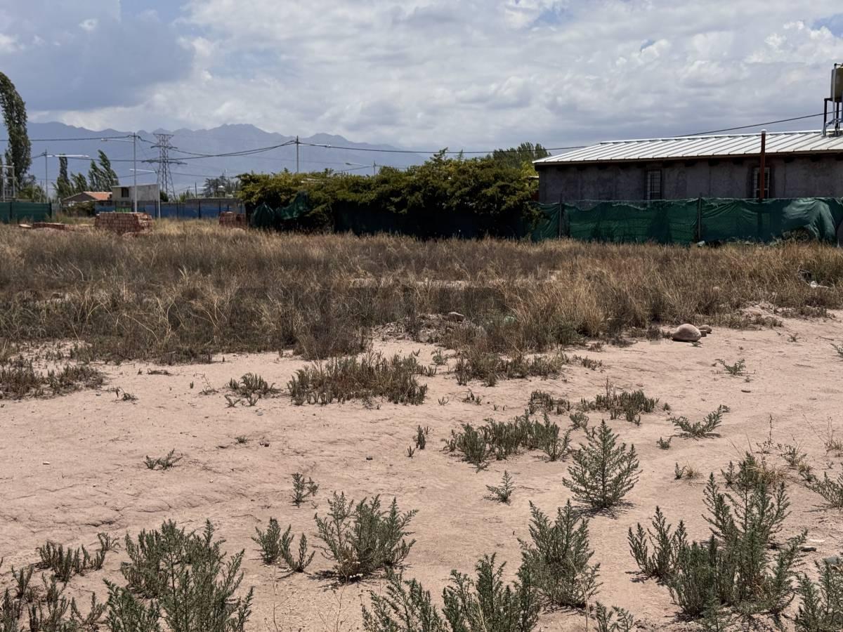 Foto de Venta de Perdriel Lujan de Cuyo, imagen 5
