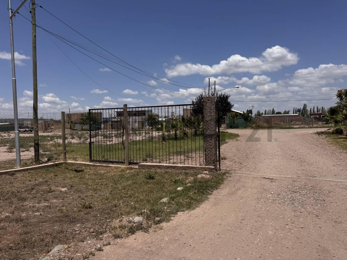 Foto de Venta de Perdriel Lujan de Cuyo, imagen 3