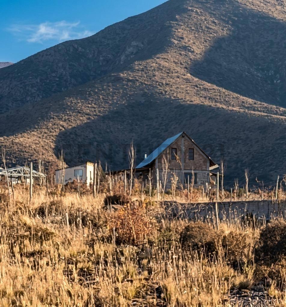 Foto de Lote en Venta Potrerillos, Mendoza, imagen 4